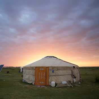 button dag vol patronen