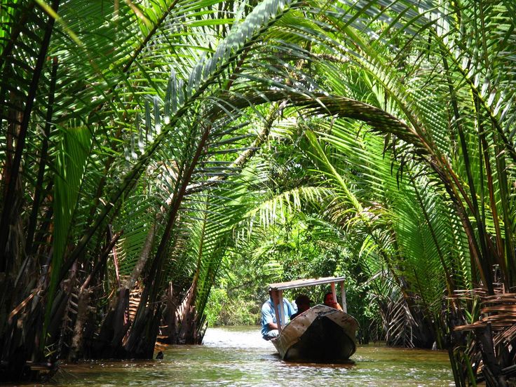 63a5f3ce815781149200c9e3ee061775 indonesia kopie 2