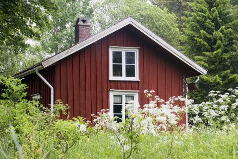Tribaal huisjesparkgedoe - Column DFT 5 juli