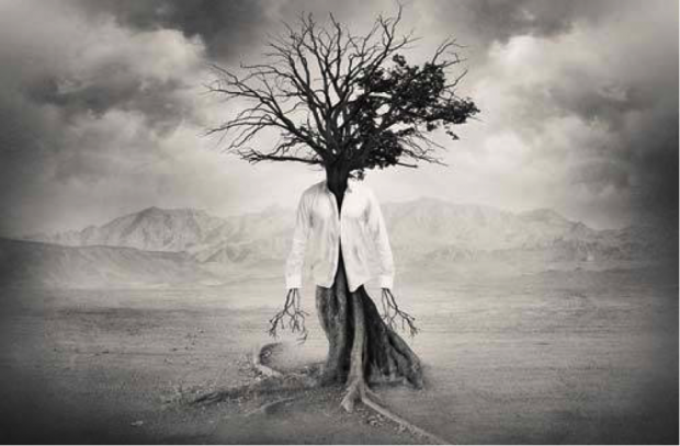 Move you are not a tree…