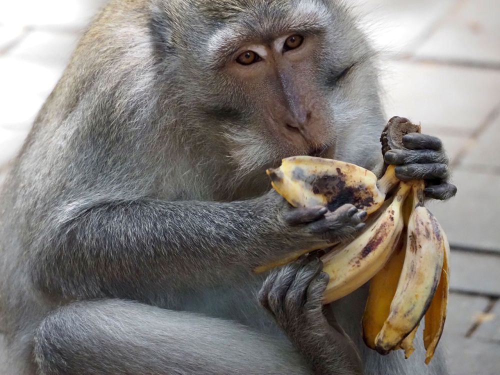 De macht van tijd - column DFT 27 februari