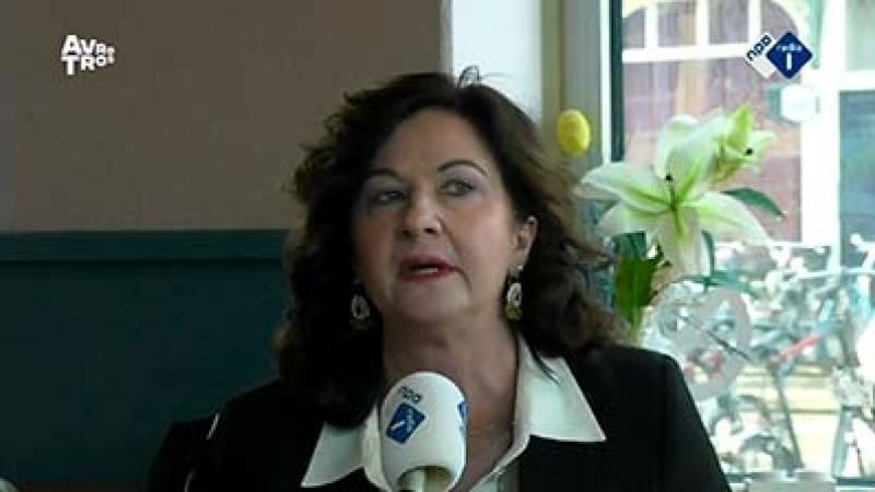 Danielle Braun - over Liminaliteit - Hangen in het ondertussen